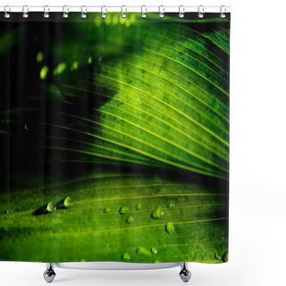 Personality  Close-up View Of Green Floral Background With Rain Drops Shower Curtains