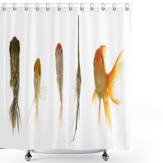 Personality  Aquarium Fish Are Looking Shower Curtains