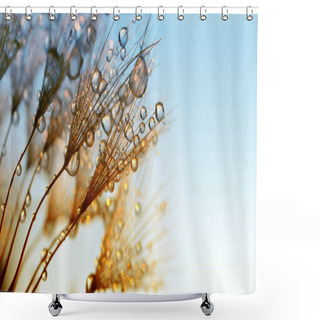 Personality  Dew Drops On A Dandelion Seeds At Sunrise. Shower Curtains