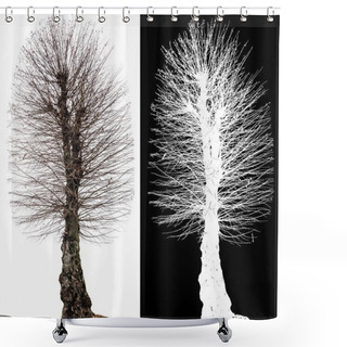 Personality  Tree Without Foliage Alpha Channel Shower Curtains