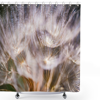 Personality  Colorful Abstract Nature Background - Dandelion Flower Fluffy Seeds Extreme Closeup, Soft Focus, Dark Background. Shower Curtains