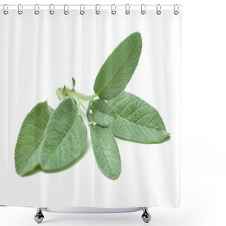 Personality  Twig Of Sage Shower Curtains