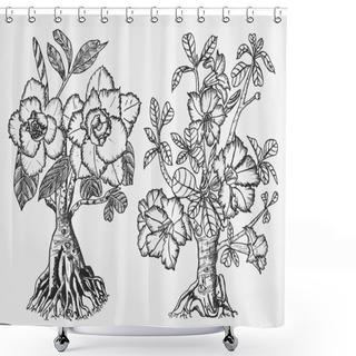 Personality  Home Adenium Plants, Flowering Plants From Africa And The Arabian Peninsula. Exotic And Tropical Elements. Engraved Hand Drawn In Old Sketch And Vintage Doodle Style. Shower Curtains