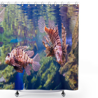 Personality  Lion Fish Shower Curtains