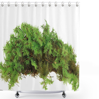 Personality  Heap Of Green Moss Shower Curtains
