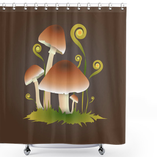 Personality  Vector Illustration Of Mushrooms. Shower Curtains