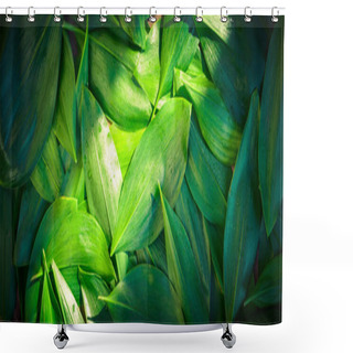 Personality  Fresh Garden Leaves Lily Valley Organic Gardening Background Concept Crop Ecology Summer Autumn Spring Leaf Texture Green Natural Macro Layout Closeup Toned Shower Curtains