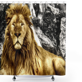 Personality  The King Shower Curtains