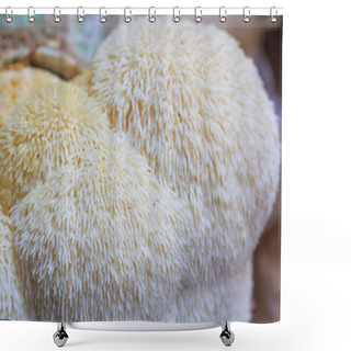 Personality  Monkey Head Mushroom Shower Curtains