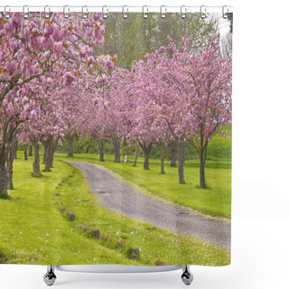 Personality  Spring Blooms Pink Row Trees In A Park. Shower Curtains