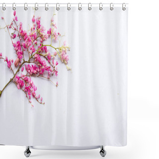 Personality  Pwgchmpo Pink Flora Local Of Asia Thailand Arrangement On Background White Shower Curtains