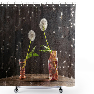 Personality  Two Dandelion Flowers Leaning Towards Each Other, As If Reaching Hands - Concept Of Love Or Attraction Shower Curtains