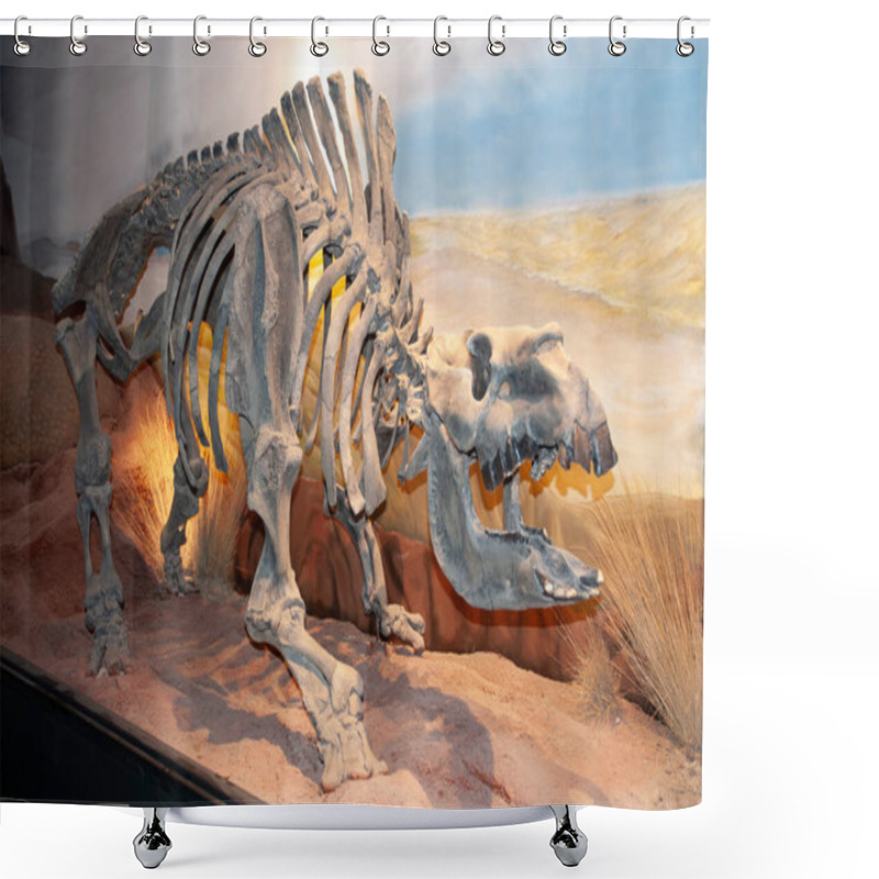 Personality  Toxodon Fossil Skeleton,  Patagonia, Argentina. Shower Curtains