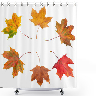 Personality  Autumn Leaves Shower Curtains