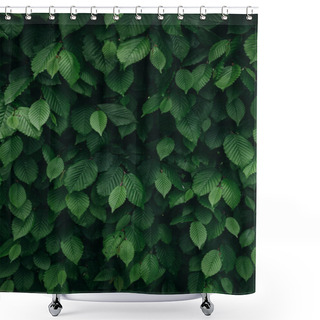 Personality  Closeup View Of Dark Green Natural Bush Leaves Pattern. Vertical Background. Shower Curtains