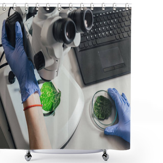Personality  Cropped Image Of Biologist Examining Green Leaf Under Microscope At Table With Laptop In Agro Laboratory   Shower Curtains