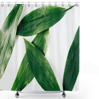 Personality  Top View Of Green Foliage With Water Drops On White Background Shower Curtains