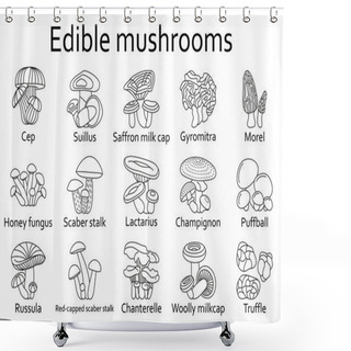 Personality  Edible Mushrooms Icons Set. Vector Illustration. Shower Curtains