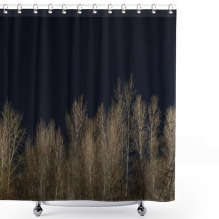 Personality  Treetops With Dry Branches And Clear Dark Night Sky Shower Curtains