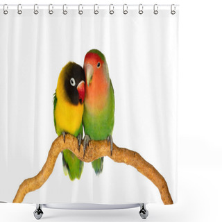 Personality  Lovebirds On A Branch Isolated On A White Background Shower Curtains