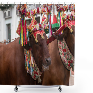 Personality  Oxen Shower Curtains