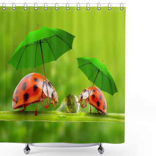 Personality  Little Ladybugs With Umbrellas Shower Curtains
