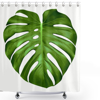 Personality  Monstera Leaf. Shower Curtains