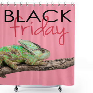 Personality  Beautiful Exotic Chameleon Sitting On Tree Branch Isolated On Pink With Black Friday Sign Shower Curtains