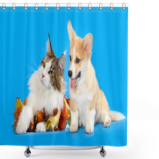 Personality  Group Dog Shower Curtains