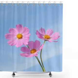 Personality  Three Flowers On A Background Of A Beautiful Space Of The Sky. Shower Curtains