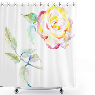 Personality  Orange Rose. Watercolor Background Illustration Set. Watercolour Drawing Fashion Aquarelle Isolated. Isolated Rose Illustration Element. Shower Curtains