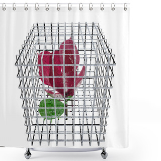 Personality  Red Rose In Birdcage Shower Curtains