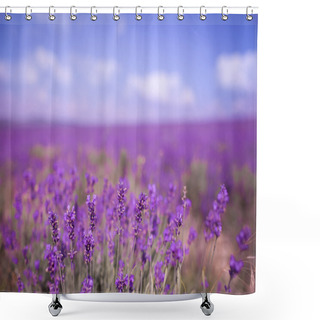 Personality  Purple Lavander Flowers Shower Curtains