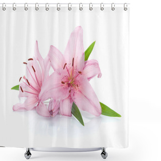 Personality  Two Pink Lily Flowers Shower Curtains