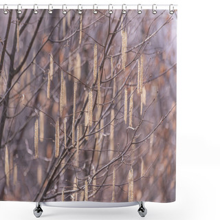 Personality  A Budding Tree Branch In A Mountain Spring Forest Shower Curtains