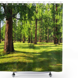 Personality  Pine Forest Shower Curtains