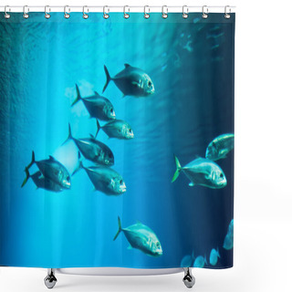Personality  School Of Fishes Shower Curtains