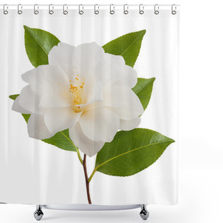 Personality  Camellia Flower Shower Curtains