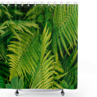 Personality  Green Fern Leaves Texture Shower Curtains