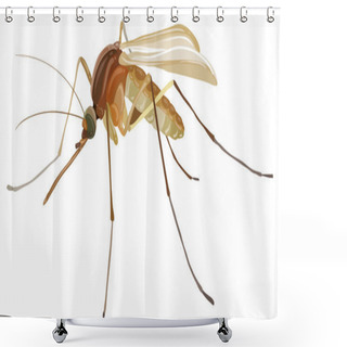 Personality  Drawn Mosquito Shower Curtains