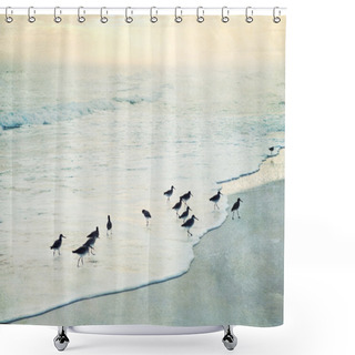 Personality  Artistic Beach Sunset With Birds In Surf Shower Curtains