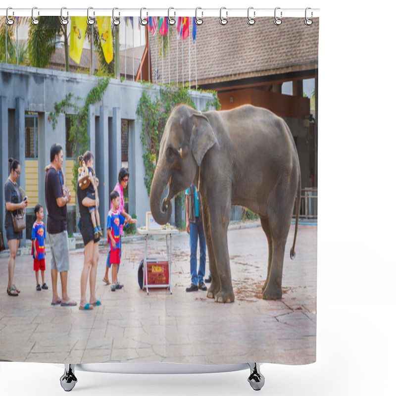 Personality  Many people feeding food to baby elephant  shower curtains