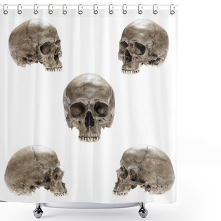 Personality  Isolated Skull Shower Curtains