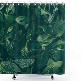 Personality  Creative Layout Made Of Green Leaves Shower Curtains