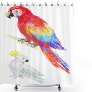 Personality  Watercolor Parrots Set Shower Curtains