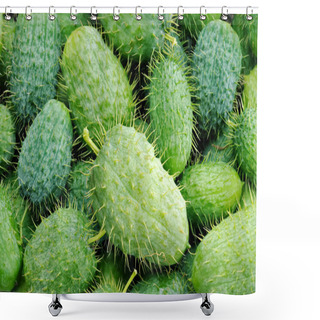 Personality  Squirting  Cucumber Shower Curtains