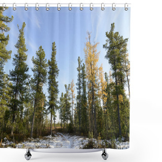 Personality  Scenic Forest Landscape In Autumn In The Russian Taiga Shower Curtains