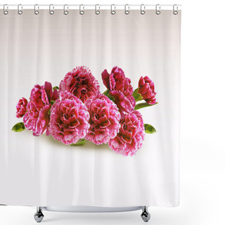 Personality  Carnation Flowers Shower Curtains