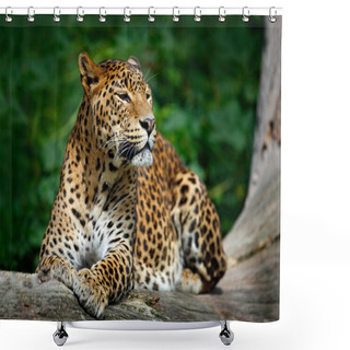 Personality  Sri Lankan Leopard Shower Curtains
