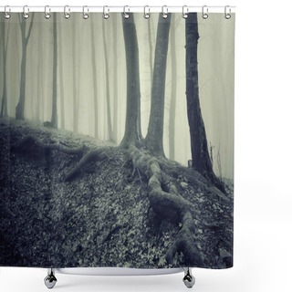 Personality  Spooky Tree With Roots In A Dark Forest With Fog Shower Curtains